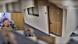 17 Странных видео снятых на камеру домофона / дверного звонка / скрытая камера|Крайм Архив|Реакция