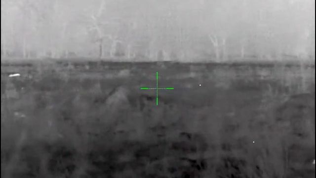 Pulsar Thermion XQ38 Getting After Some Pigs.