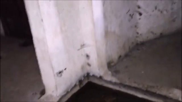 Нет крепостей ,которые бы не палиЛинияМолотова вПшемысле№1There are noFortresses that would not fal смотреть онлайн