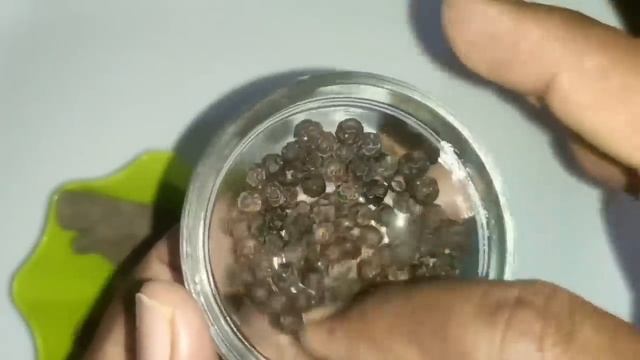 भयंकर छातीतला कफ मिनिटांत बाहेर फेका I कफ खोकला यावर घरगुती उपाय Iछातीतील कफ बाहेर पडण्यासाठी उपाय смотреть онлайн