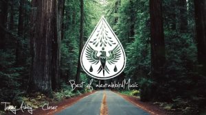 Best of alexrainbirdMusic 2022 🎉 - An Indie/Pop/Folk/Rock Playlist