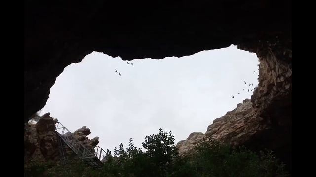 v kino смотреть онлайн