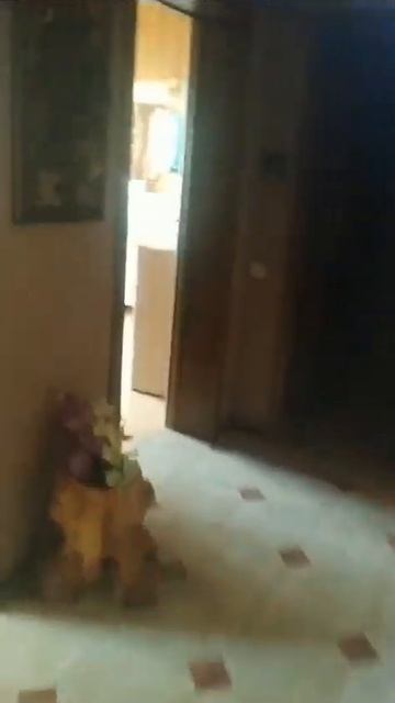 29 февраля 2024 г. (5) смотреть онлайн