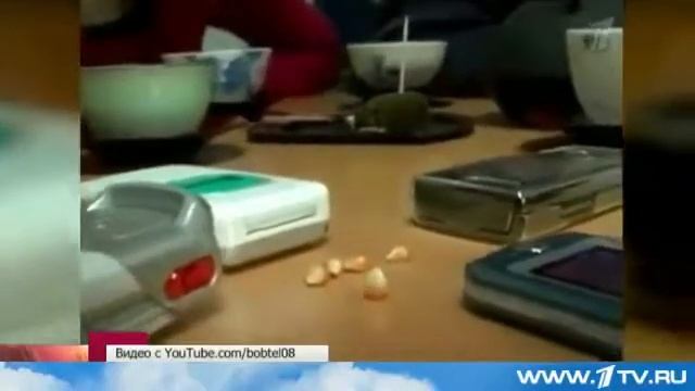 Чума 21 века смотреть онлайн