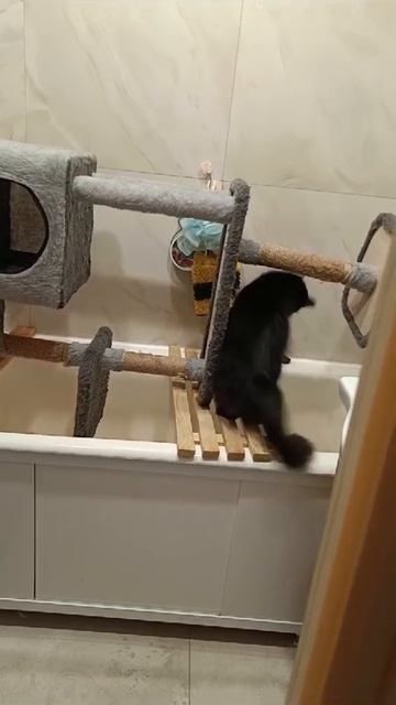 И что тут происходит 🤔? смотреть онлайн