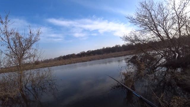 Ловля плотвы на мах весной! смотреть онлайн