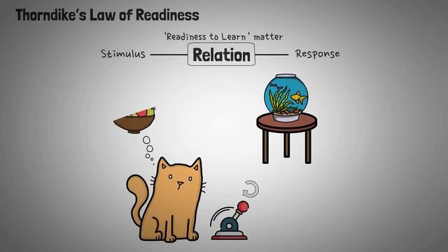 Stimulus Response Theory - Edward Thorndike (Definition + Examples) смотреть онлайн