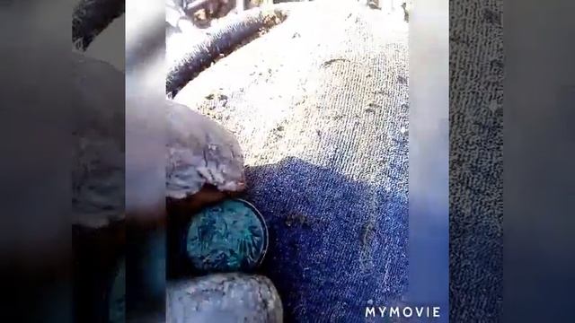 Коп с фортуна м3 франківськ смотреть онлайн