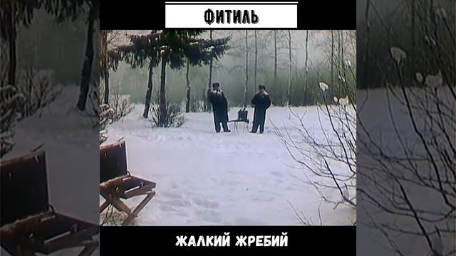 #shorts Фитиль - Жалкий жребий смотреть онлайн