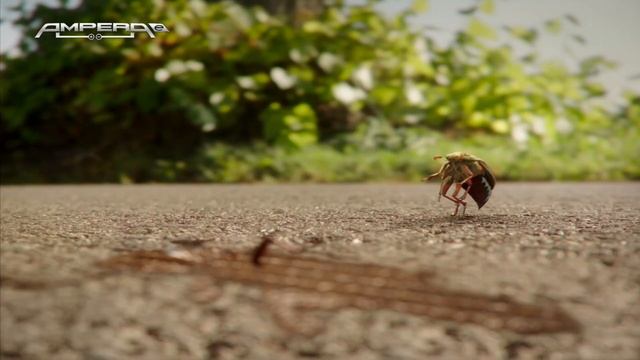 Spot für den Opel Ampera-E (2016) смотреть онлайн