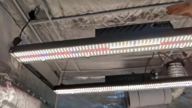 Greenhouse Hydroponic 4ft Samsung Lm301h LED Grow Light Bar 1040 Umol/S смотреть онлайн