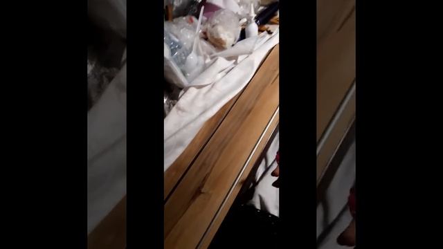 Поезд "ТАВРИЯ" 174 в Крым с комфортом! смотреть онлайн