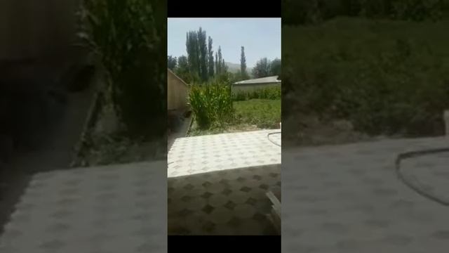 Шахраки Навобод Камаридин Идиев пули моя надод харом хур смотреть онлайн