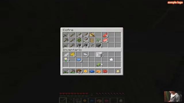 MINECRAFT GAMEPLAY: MODO EXPERTO PARTE 2 смотреть онлайн