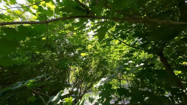 BetaFPV Pavo Pico | First week fun | Crash compilation смотреть онлайн