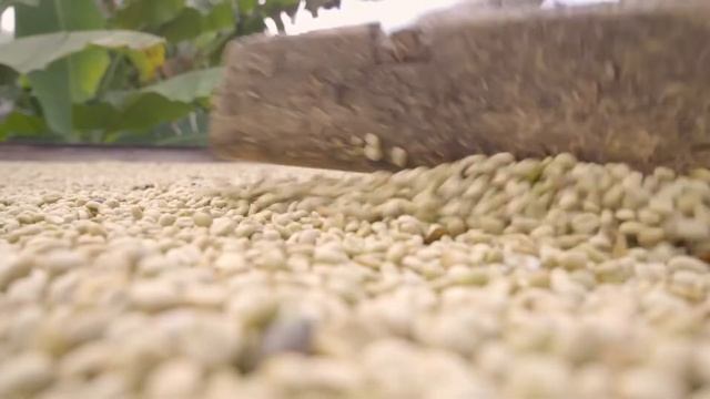 Avifruits · Café Premium 100% Colombiano · Origen: Quinchía. смотреть онлайн