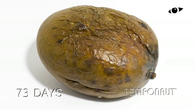 Mango Time-lapse смотреть онлайн