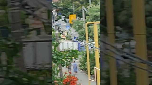 Адлер, ул Таврическая 26 июня 7 40 утра смотреть онлайн