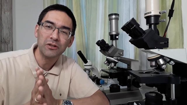 🔬 Which microscope for biotechnology? смотреть онлайн