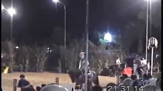 Carrousel de Saut "Harry Potter" смотреть онлайн