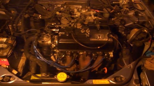 89 honda accord ex 5spd first start up смотреть онлайн
