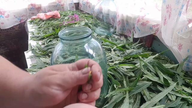 Иванчай-это здоровье смотреть онлайн
