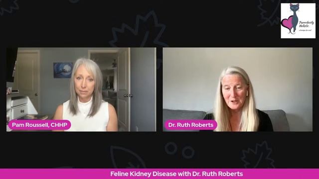 Feline Kidney Disease with Dr. Ruth Roberts смотреть онлайн