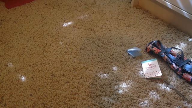 Tenney's Picnic Set Review смотреть онлайн