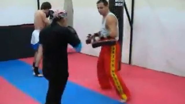 TAI SHIN DO - ADRIANA TATU alias "Black Panther" K-1 смотреть онлайн