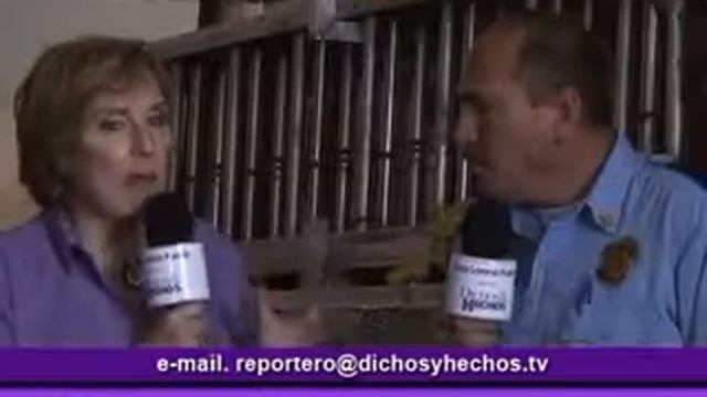 Programa # 12 Tem Octava Parte 3 смотреть онлайн