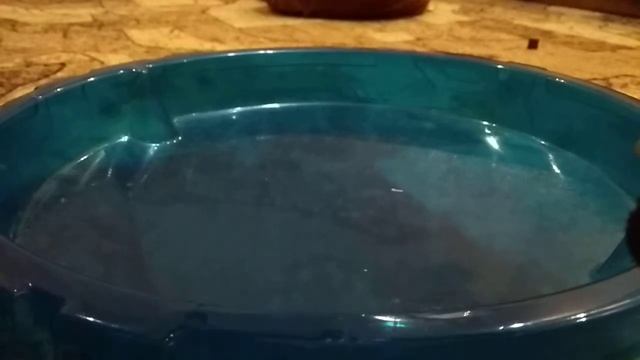 Обзор,битва, бейблейд берст 2 сезон(фафнир Ф3) смотреть онлайн