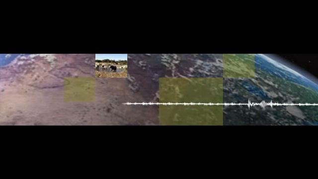 Bionik im Management смотреть онлайн