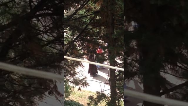 Город Туапсе,а точнее его центр!!! И местные цыгани!!! смотреть онлайн