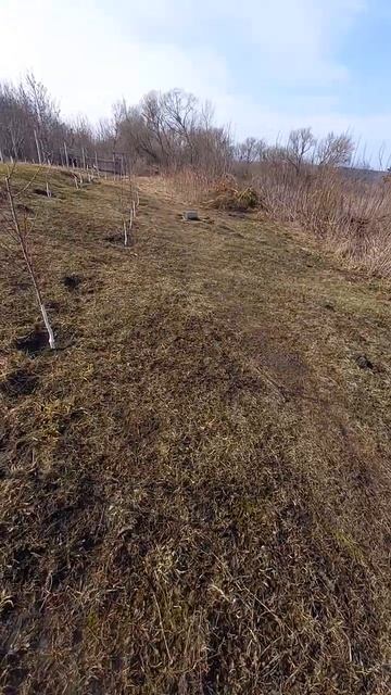 24 марта 2024 г. (2) смотреть онлайн