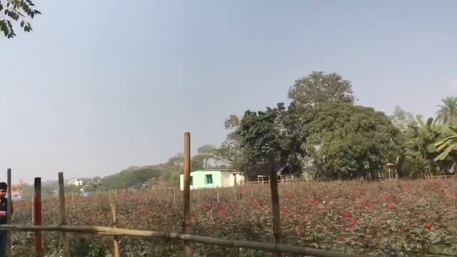 Golap Gram l Savar l - গোলাপ গ্রাম l Rose Village Bangladesh ll 2020 смотреть онлайн