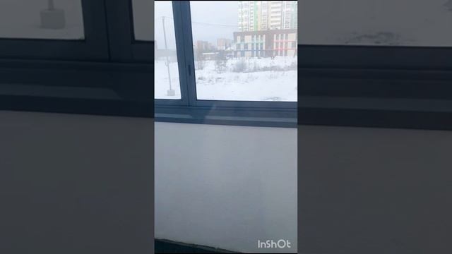 сахарова2784.mp4