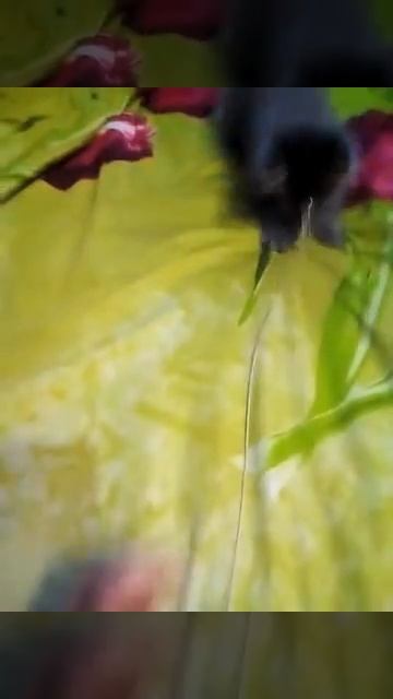 это моя добыча 1 смотреть онлайн