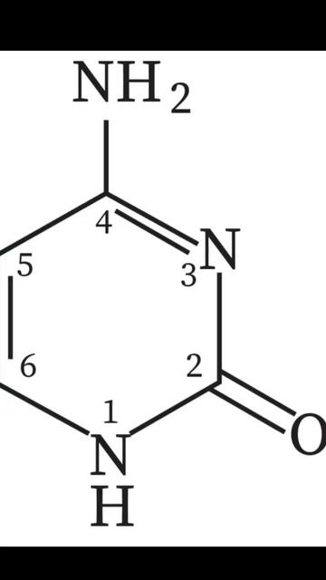 AMINO ACIDS EXPLAINED #mcat смотреть онлайн