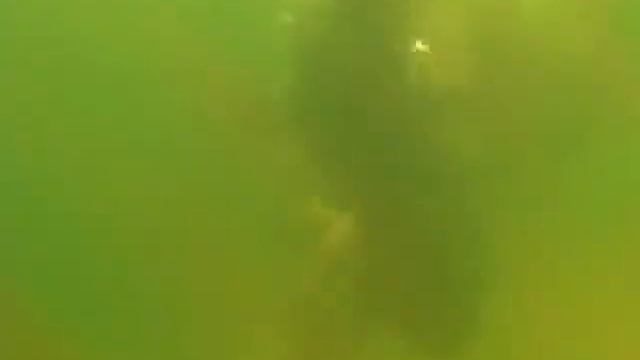 Underwater Video Project смотреть онлайн