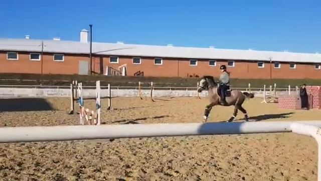 26 ноября 2022 г. смотреть онлайн