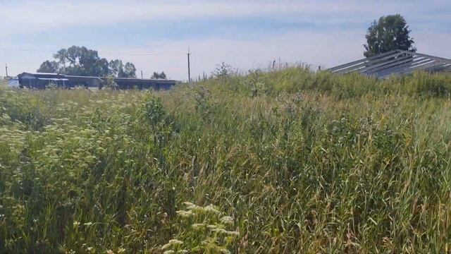 Продам Базу с прудом в д.Сар-Саз #сарсаз #юрга #ферма #ферма #базаотдыха #кузбасс +7 923 611-63-31