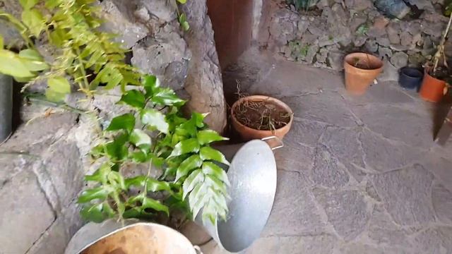 YOU HAVEN'T DONE IT - GRAN CANARIA Habits Mountains Caves Day 10/ 15 #Museum #PicodelasNieves смотреть онлайн