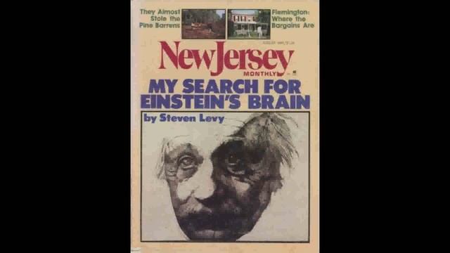 who stole Einstein's Brain | Einstein ka dimagh kis ny chori kia Full Story in Urdu & Hindi viewers смотреть онлайн