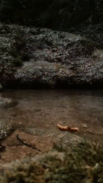 #shorts #waterfall #relaxing #relax #nature смотреть онлайн