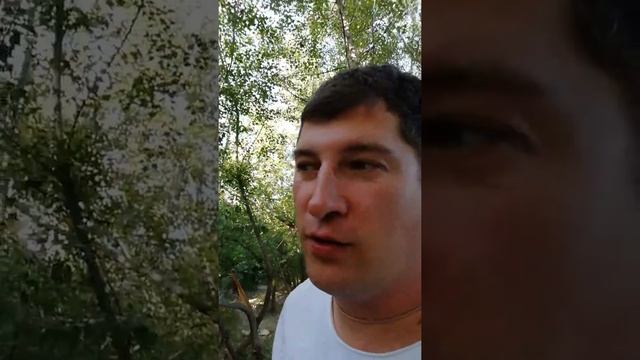 Сплав 18 смотреть онлайн
