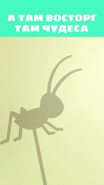 Угадай что изображено с помощью тени! 👤 — Цветняшки — Мультики для детей смотреть онлайн