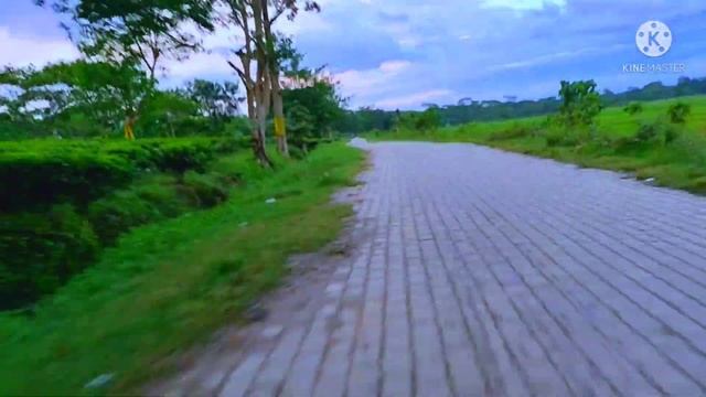 Tea Garden Assam (Goalpara) Vlog's #1 смотреть онлайн
