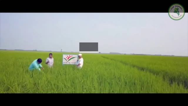 Fairtrade Premium Climate Change Mitigation Project- Land Laser Levelling by Nature BioFoods Ltd. смотреть онлайн
