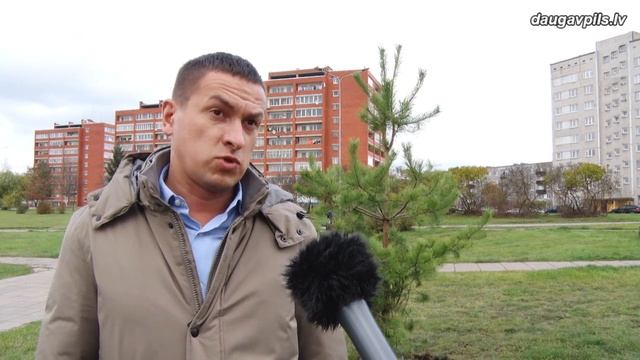 В городе активно восстанавливают зеленый фонд смотреть онлайн