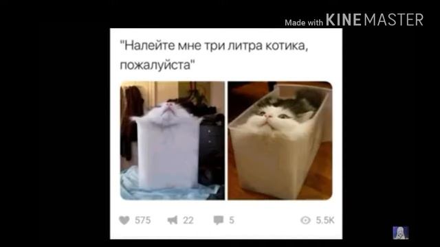 Самые странные фото! смотреть онлайн